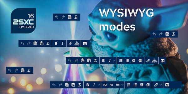 WYSIWYG Modes in 2sxc LTS 16